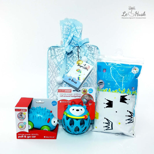Skip Hop Hedgehog Toys Gift Bag - Boy
