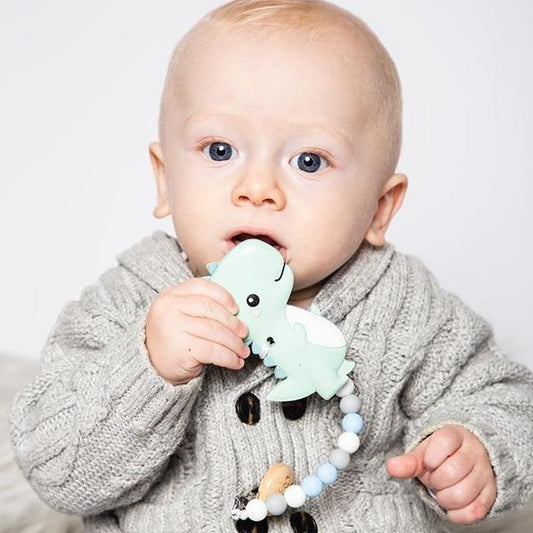 Glitter & Spice Silicone Teether with Pacifier Clip