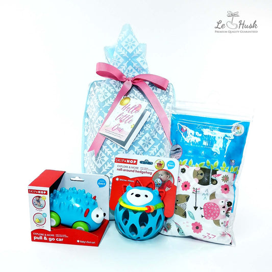 Skip Hop Hedgehog Toys Gift Bag - Girl